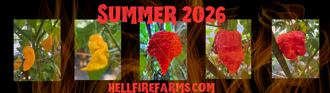 2026 Summer Pepper Guide: What's Hot This Season