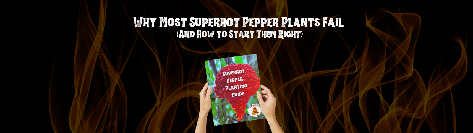 Why Most Superhot Pepper Plants Fail (And How to Start Them Right)