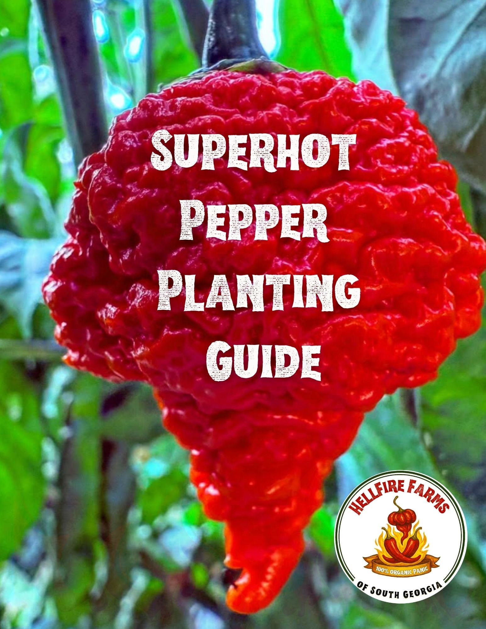 Superhot Pepper Planting Guide