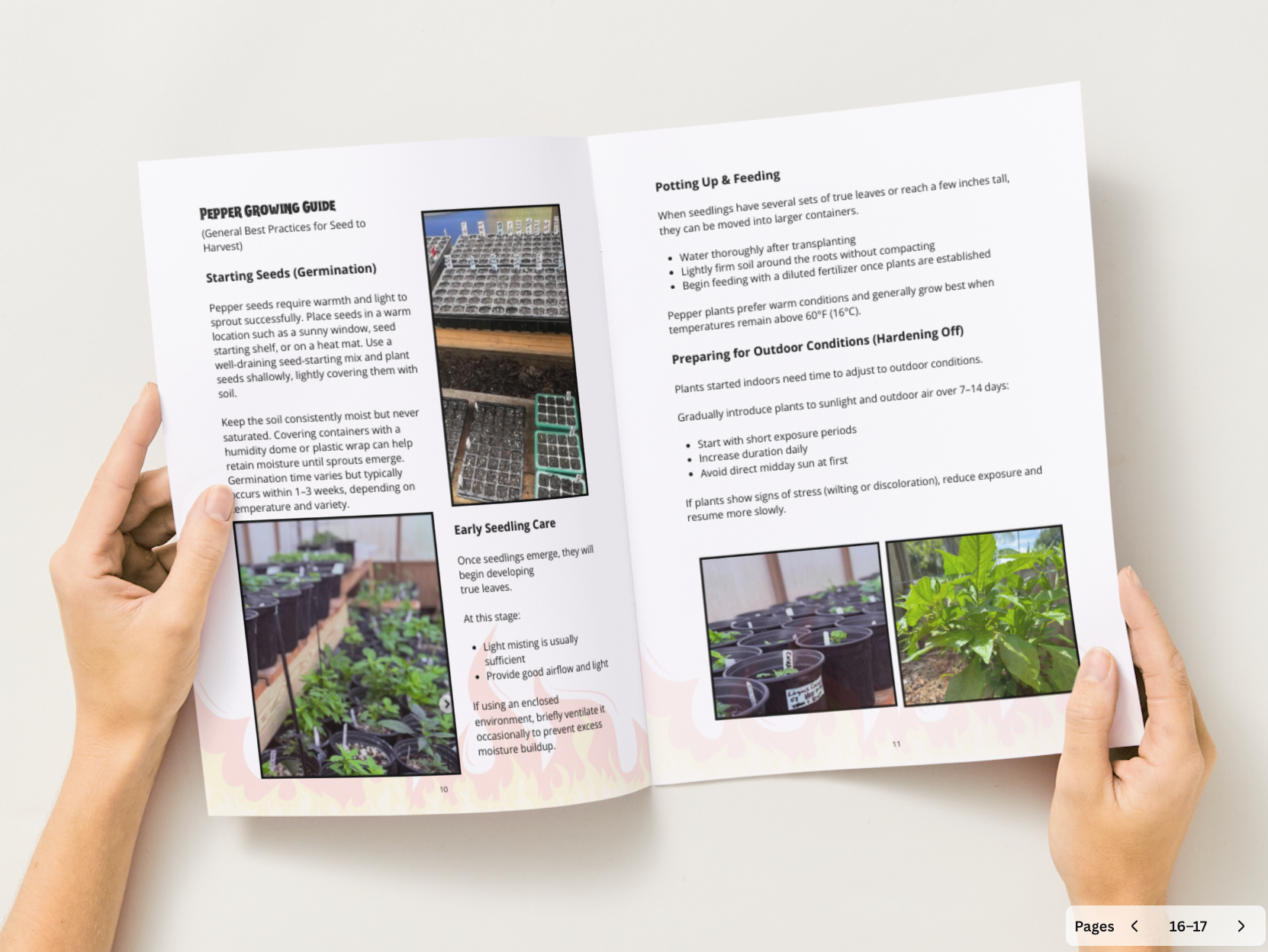 Superhot Pepper Planting Guide